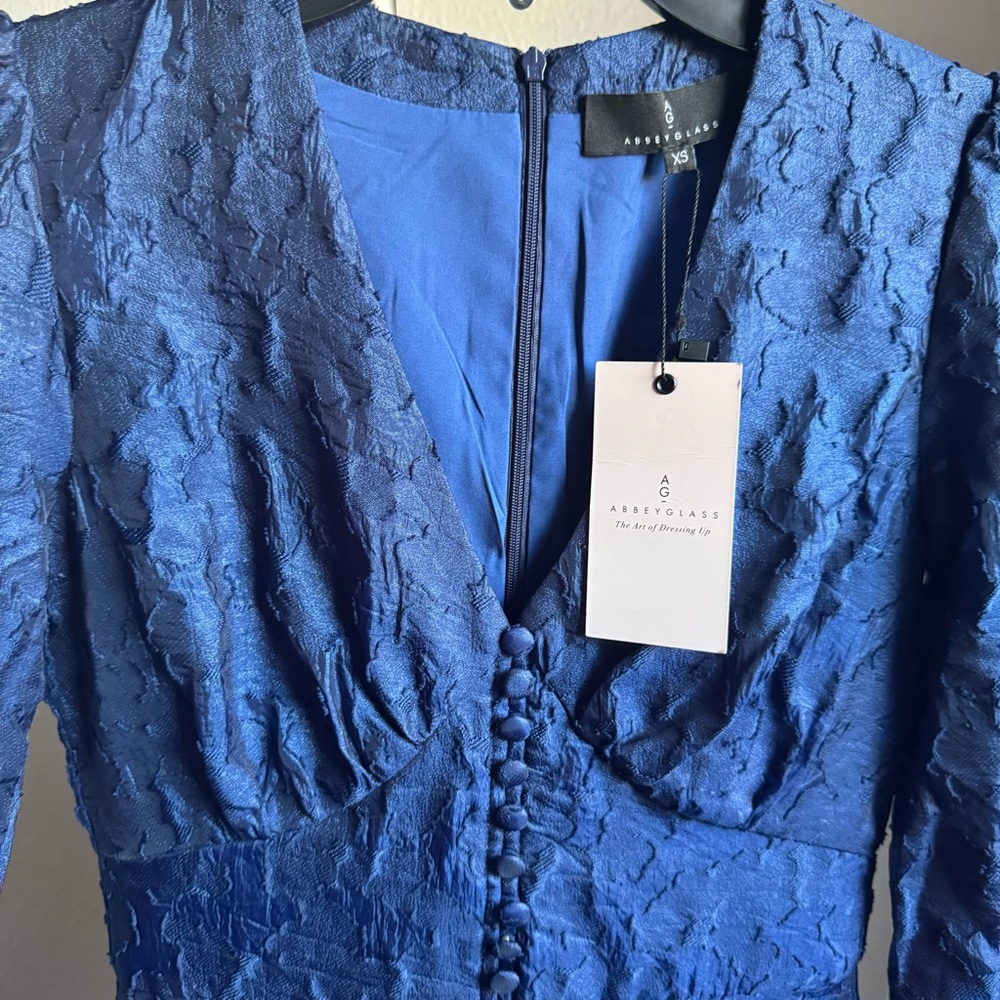 NWT Abbey Glass Brooke Organza V-Neck Button Front A-Line Maxi Dress Navy Sz XS - Picture 9 of 12